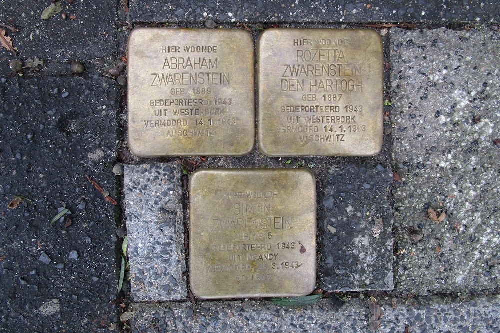 Stolpersteine Parkweg 228 #1