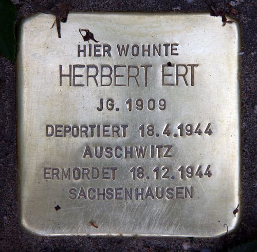 Stolpersteine Handjerystraße 29 #3
