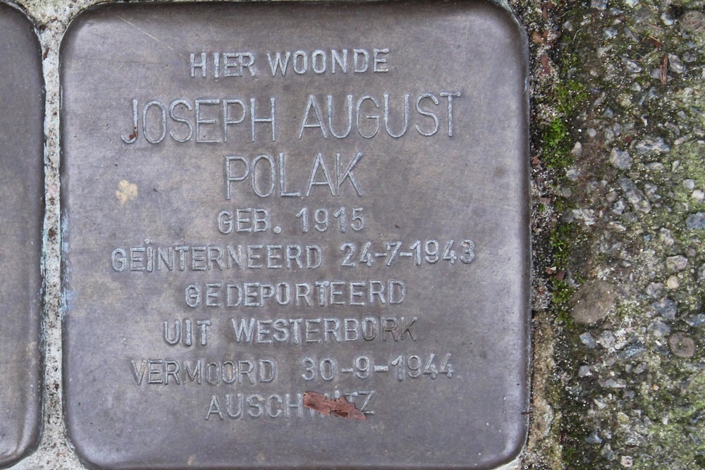 Stolpersteine Newtonstraat 23 #4