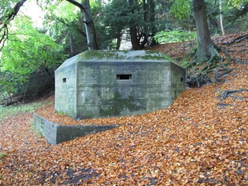 Pillbox FW3/24 Goring