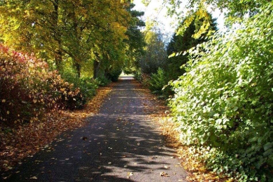 Oorlogsgraven van het Gemenebest Alyth Cemetery #1