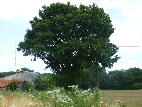 Former Observation Post