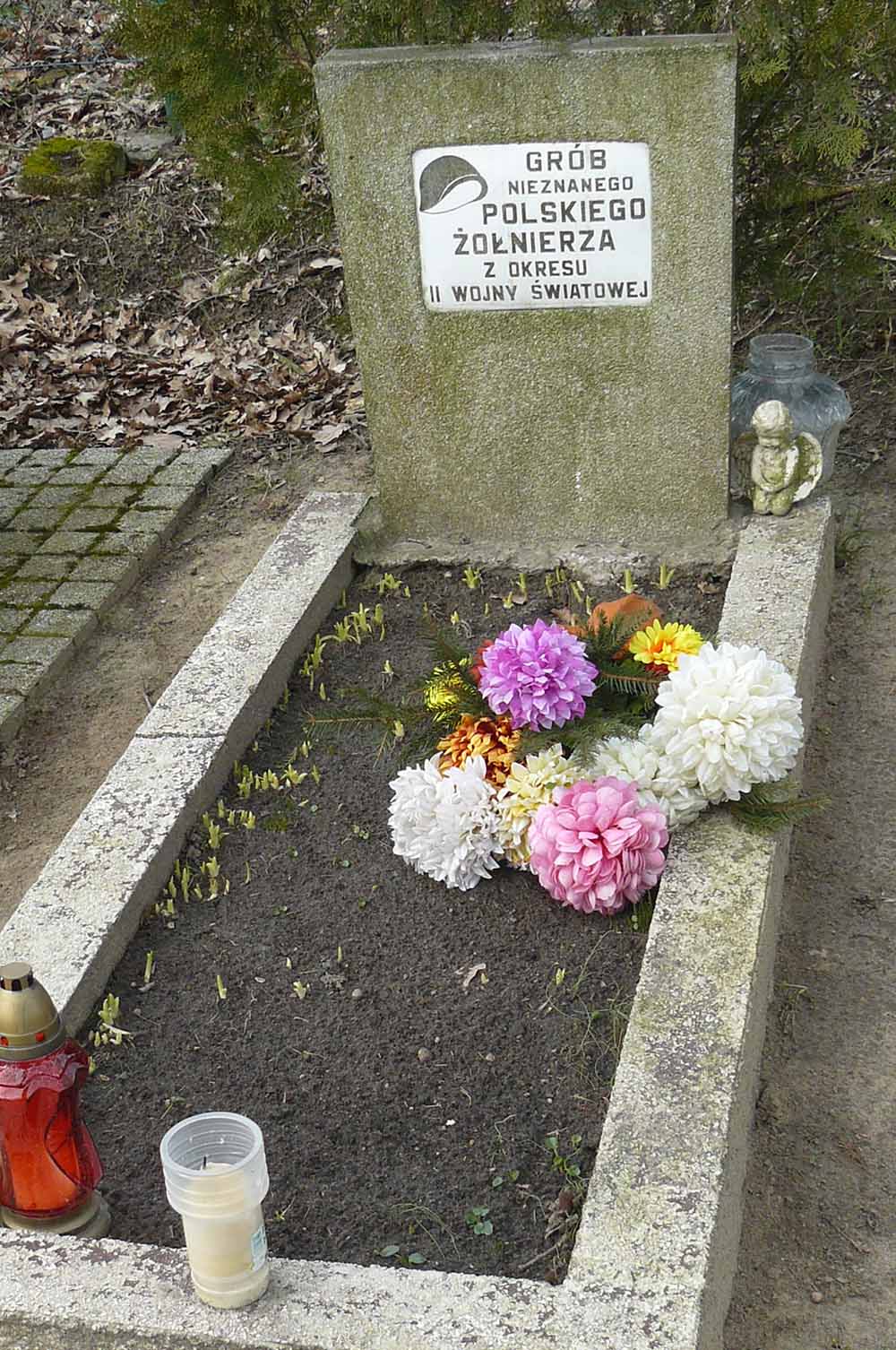 Grave Unknown Polish Soldier #1