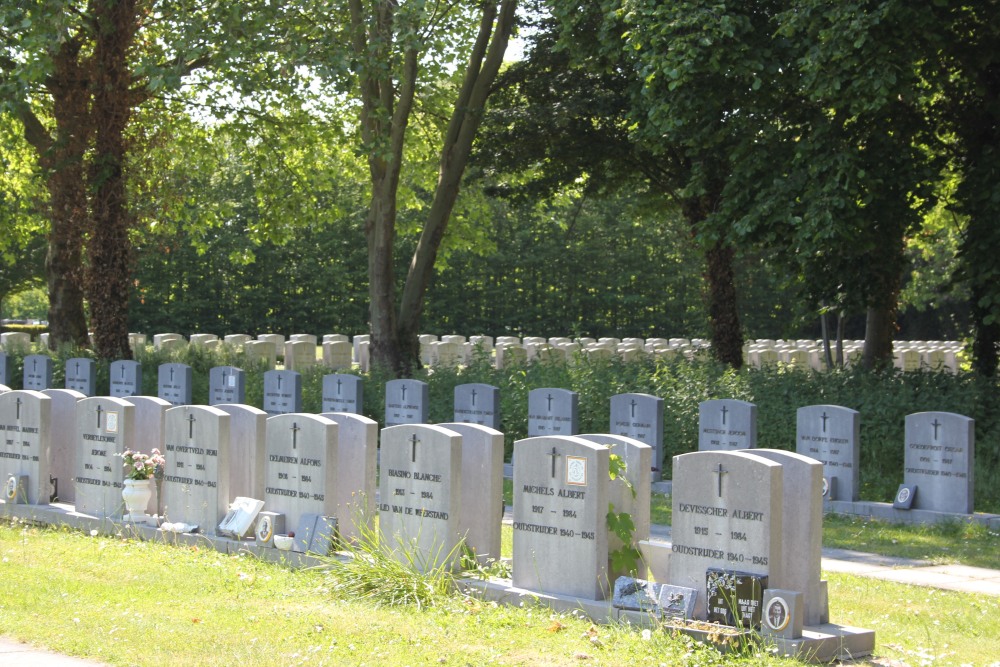 Belgian Graves Veterans Oudenaarde #3