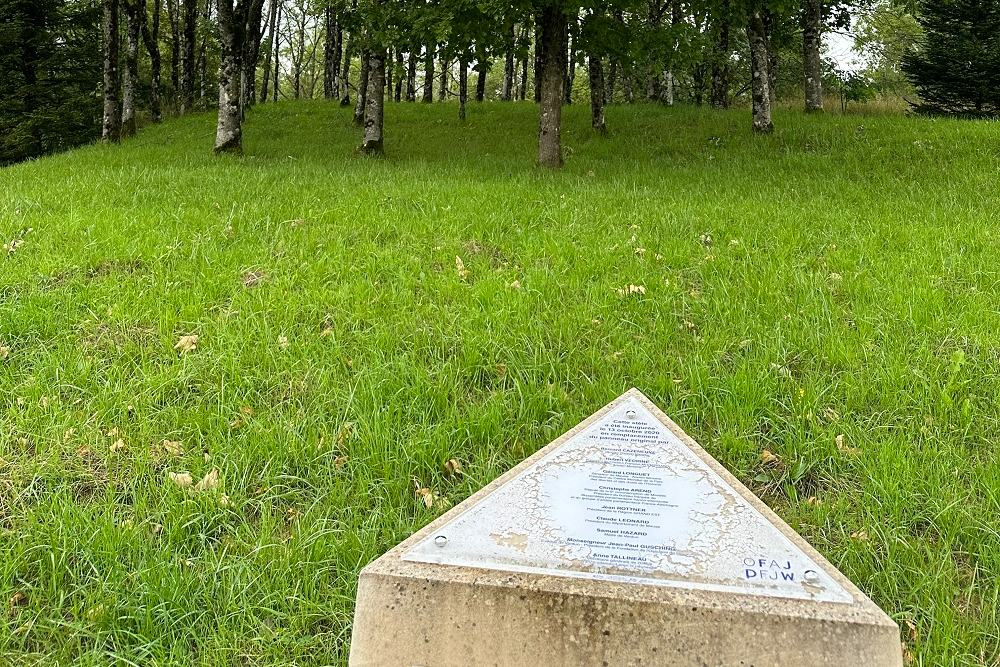Monument Verdun-Gebaar #3