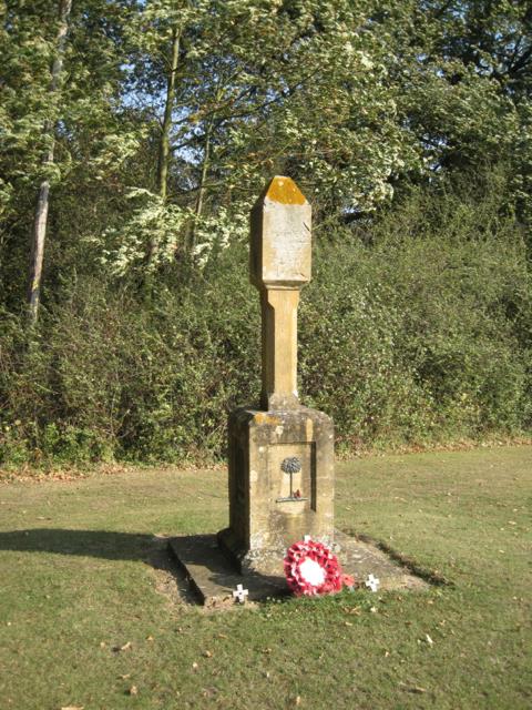 Oorlogsmonument Henley-in-Arden #1