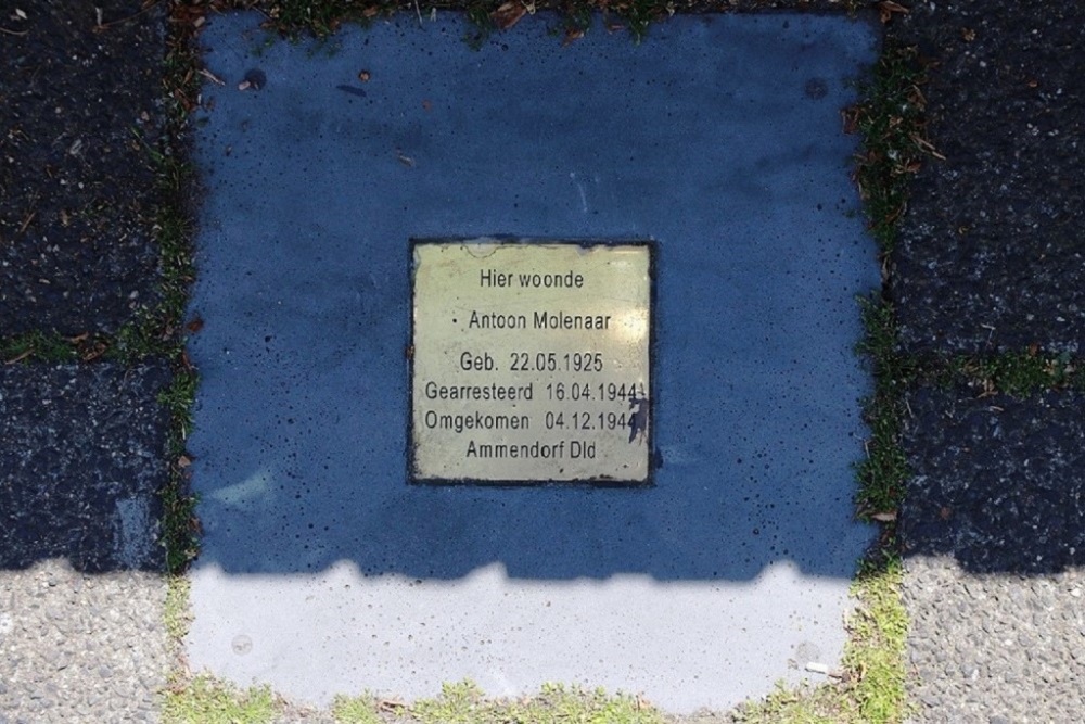 Memorial Stone Wijkerstraatweg 254 #1