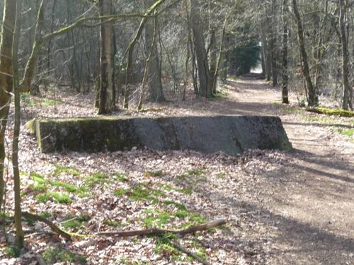 Group Shelter Type 1918/I De Fransche Kamp #1