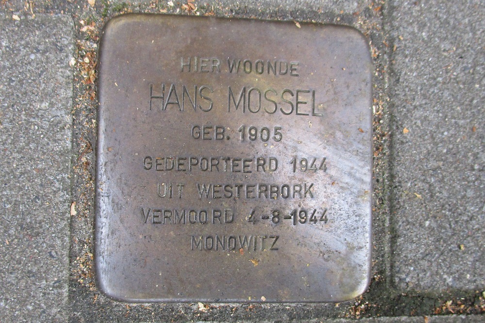 Stolperstein Geleenstraat 14 #1