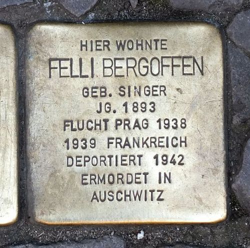 Stumbling Stones Sophienstraße 6 #3