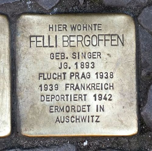 Stolpersteine Sophienstrae 6 #3