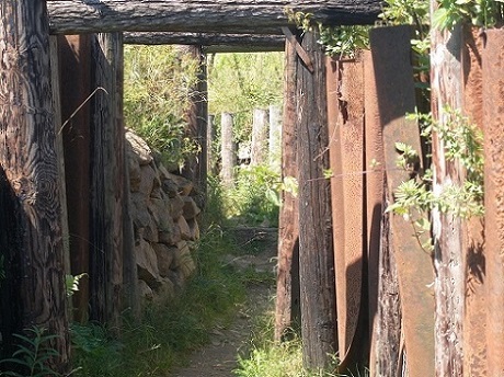 Franse Stellingen Hartmannswillerkopf