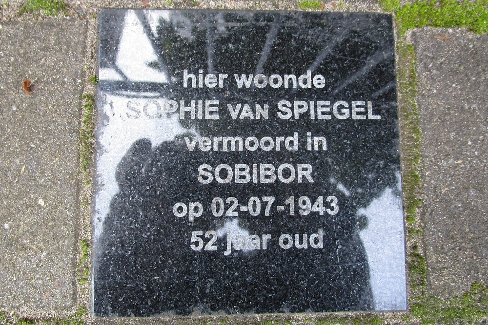 Herdenkingsstenen Frederik van Blankenheymstraat 51 #3