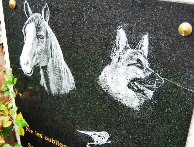 The Animal Memorial #4