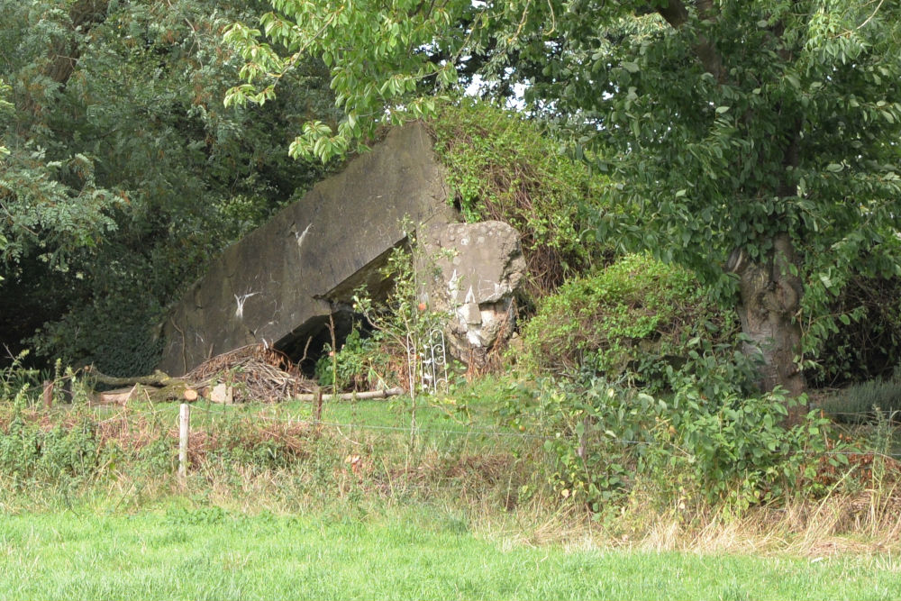 Westwall Bunkers Adolfosee #3