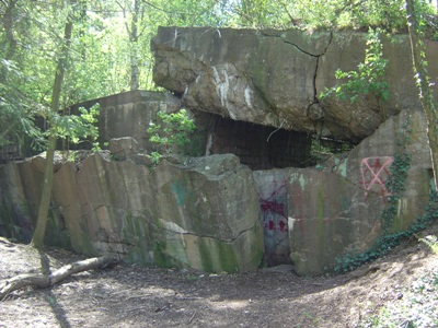 Westwall - Bunker Nr. 370
