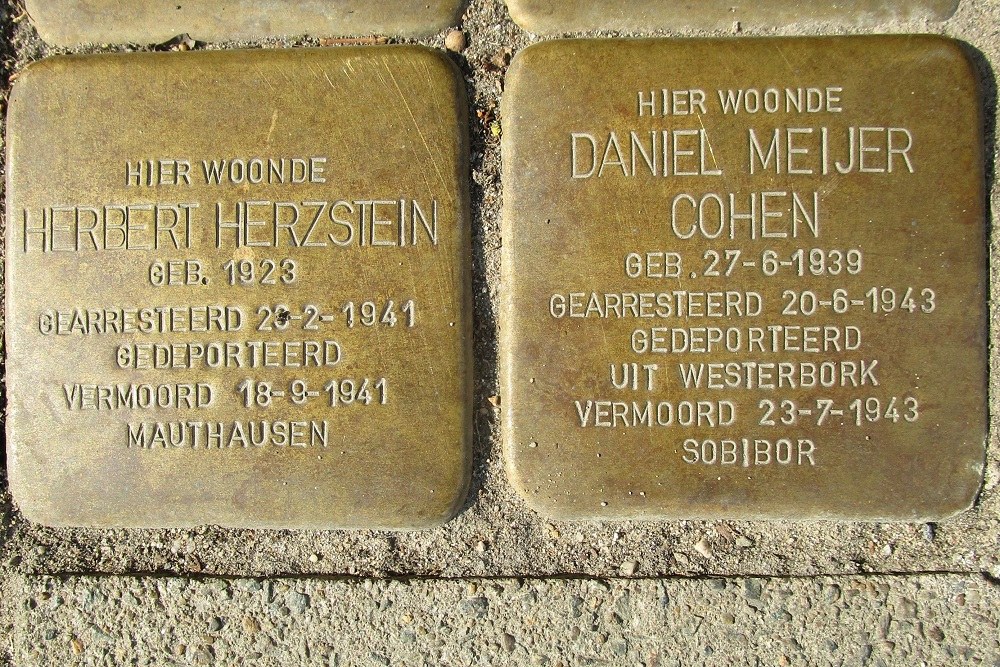 Stolpersteine Berkelstraat 4 #3