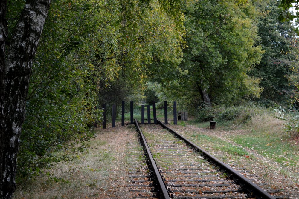 Peel-Raamstelling - Asperge Railwayblocks 'Duits Lijntje' #4
