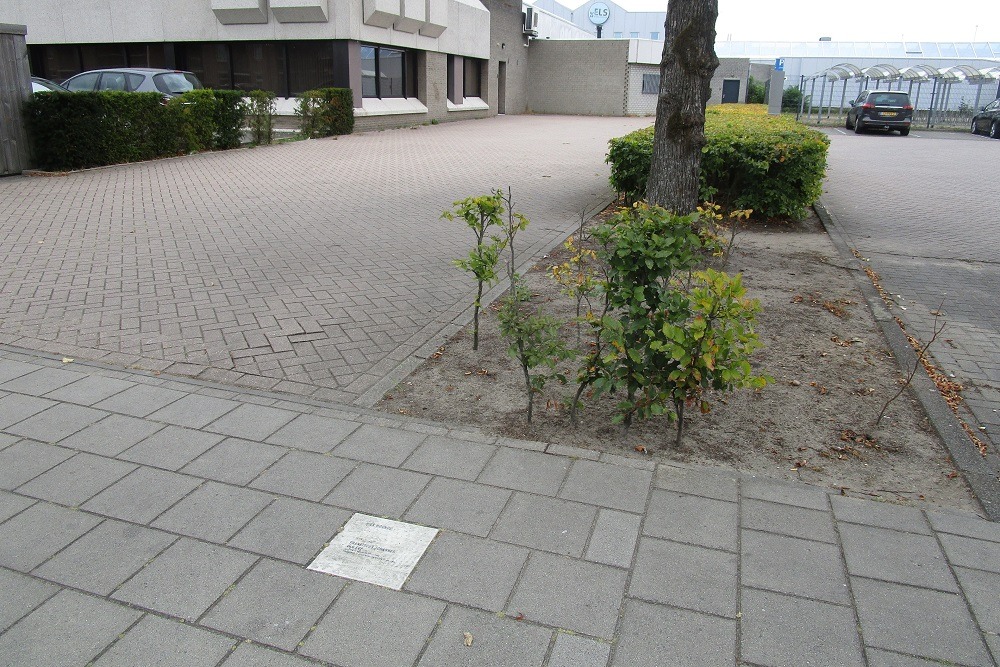 Memorial Stone Meester van Coothstraat 9 #2