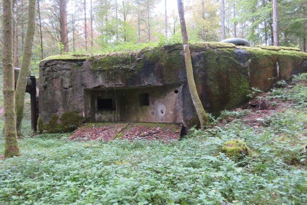Maginot Line - Casemate East Wineckerthal