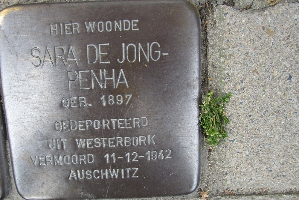 Stolpersteine Boerhaavelaan 54 b #3