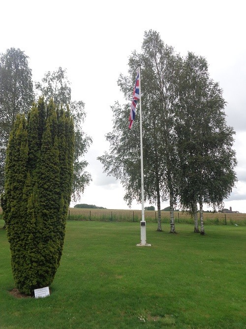 Ulster Tower #3