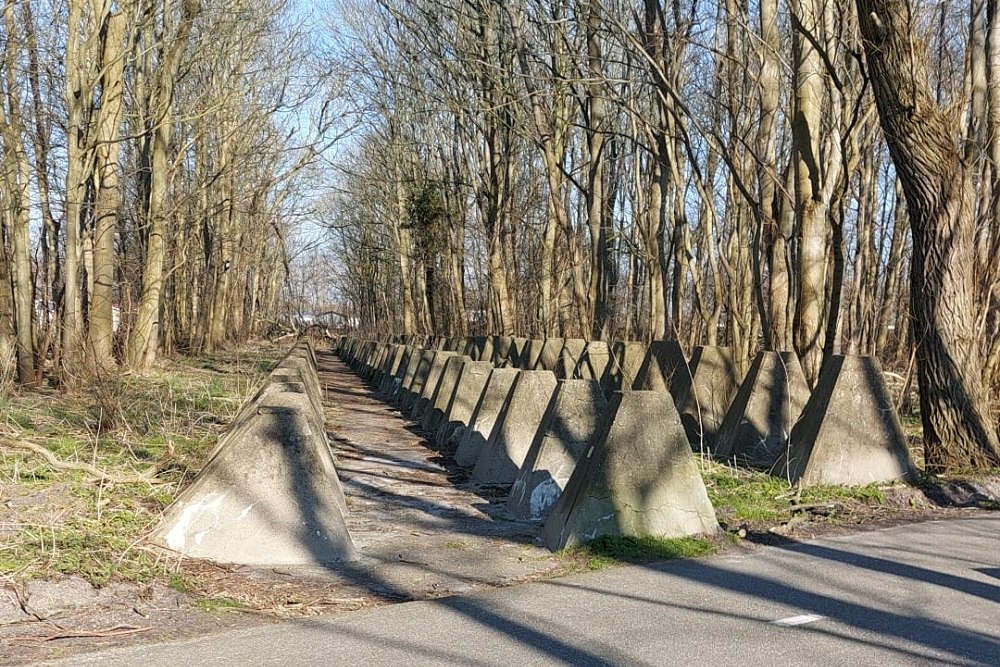 Dragon's Teeth Barrier Groot Valkenisse #4