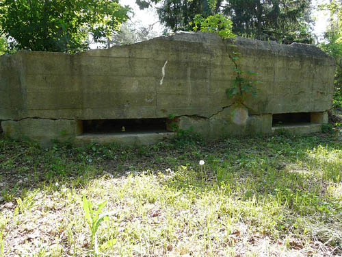 Stalin Line - Casemate No. 412 #1