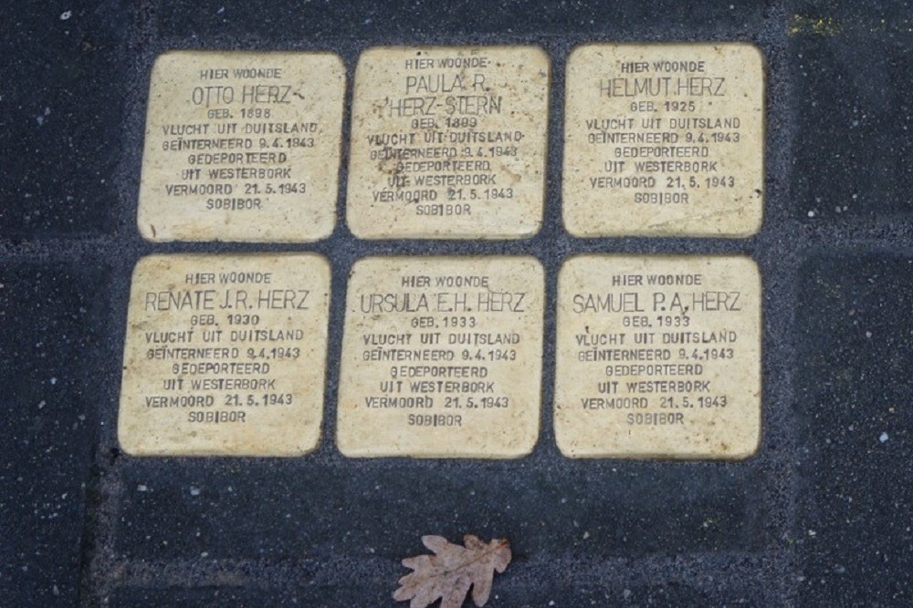 Stolpersteine Hovenstraat 2 #1