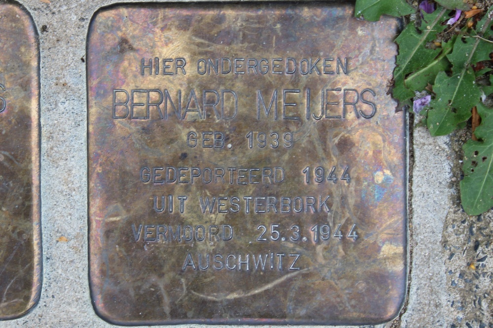 Stumbling Stones Proosdijstraat 15 #3