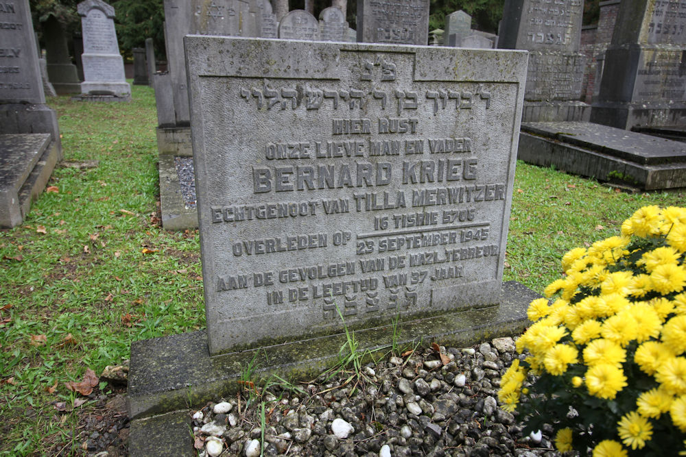 Jewish War Graves General Cemetery Maastricht #3