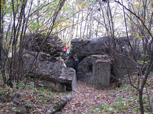 Stalin Line - Remains Casemate No. 154