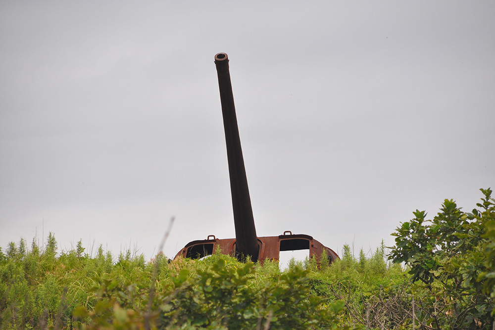 Coastal Battery no. 771 #1