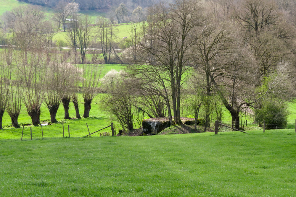 Verdedigingsbunker MN9 #5