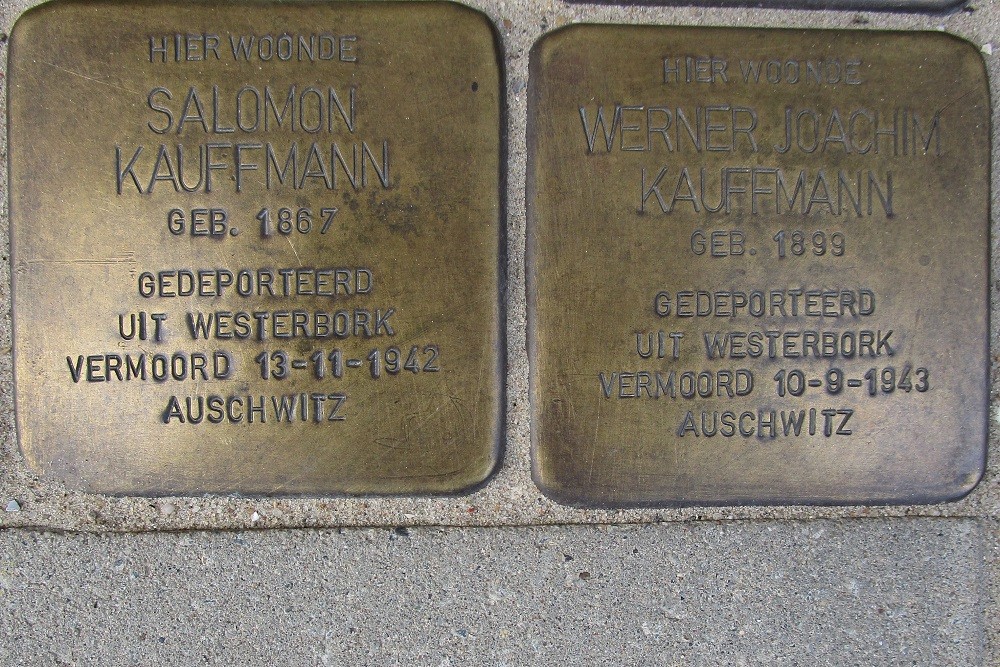 Stolpersteine Rooseveltlaan 209 #3