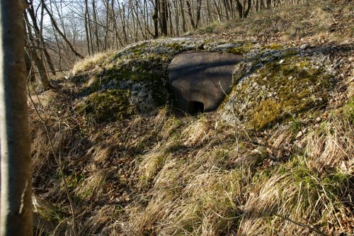 Alpine Wall - Fort No. 1 Studena #4