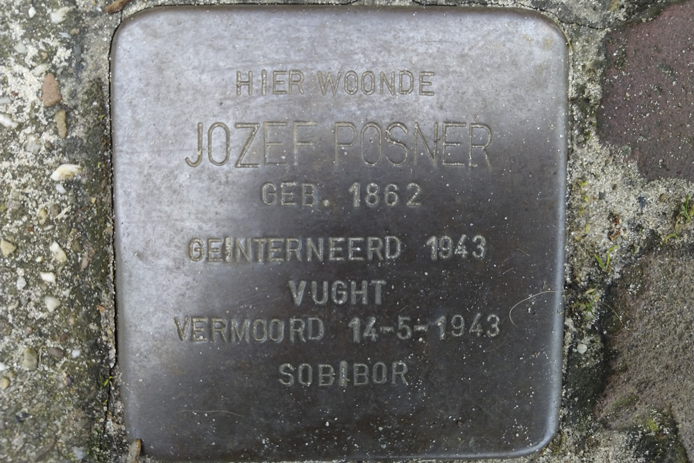 Stolpersteine Deldenerstraat 85 #2