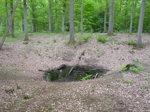 Bomb-crater Oud Groevenbeek #4