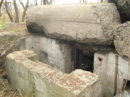 Stalin Line - Remains Casemate No. 282