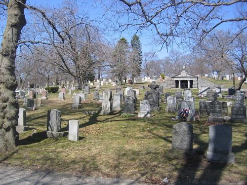 Oorlogsgraf van het Gemenebest Fairview Cemetery