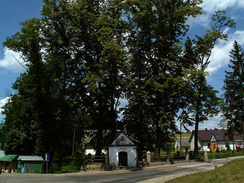 Austrian-Russian War Cemetery No.362