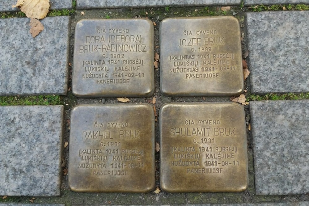 Stolpersteine Gedimino Prospektas 46 #1