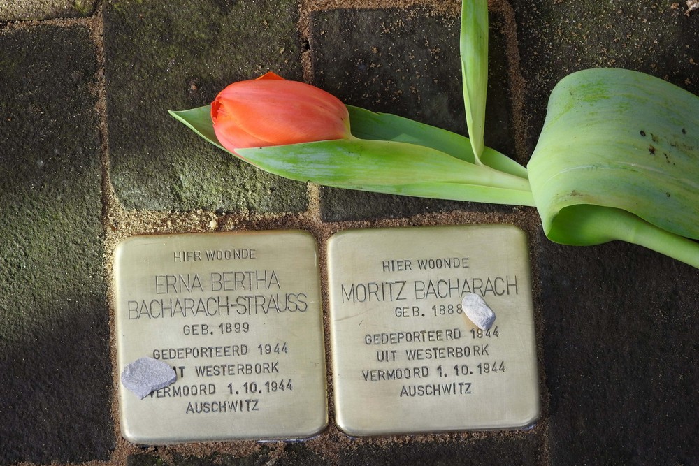 Stolpersteine Dalweg 5 #1