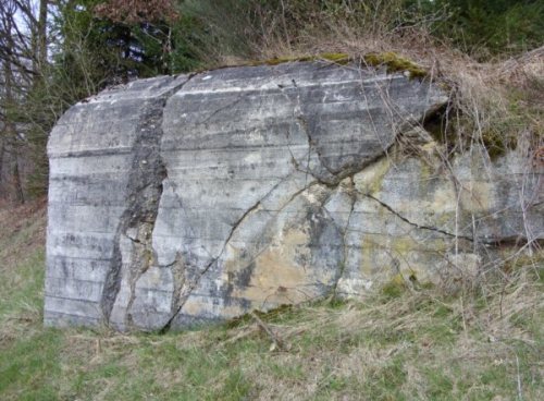 Westwall - Remains Bunker Pittenbach #3