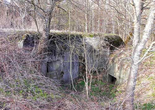 Molotov Line - Casemate III Podemszczyzna #1