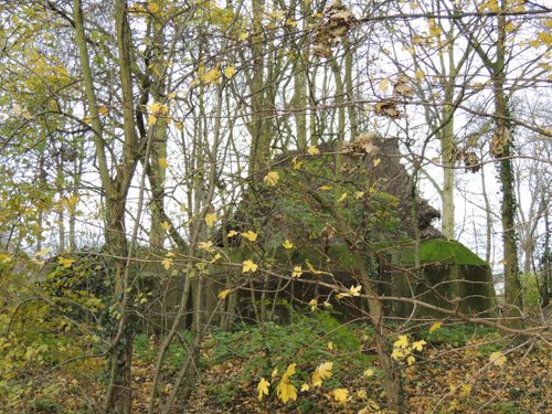 Bunker 4 Stützpunkt Brünhild 'Park Toorenvliedt' #2