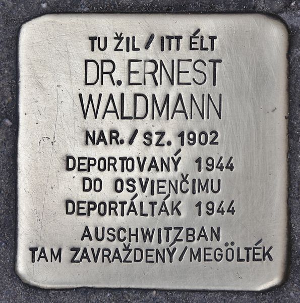 Stolperstein Eötvösa 9 #1