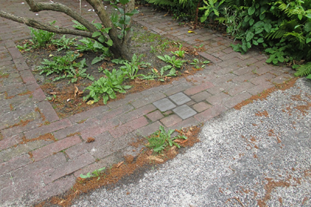 Stolpersteine Hofje 15