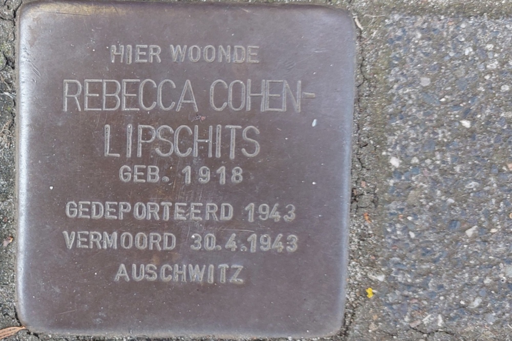 Stumbling Stones Noordsingel 124 #3