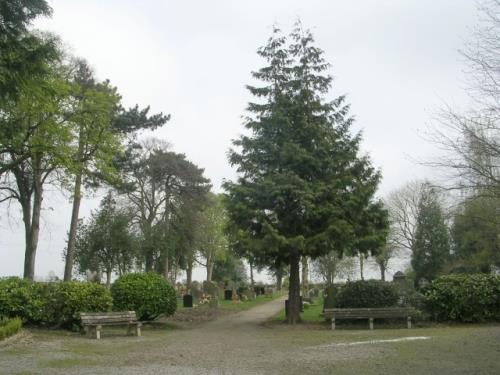 Oorlogsgraven van het Gemenebest Harewood Cemetery